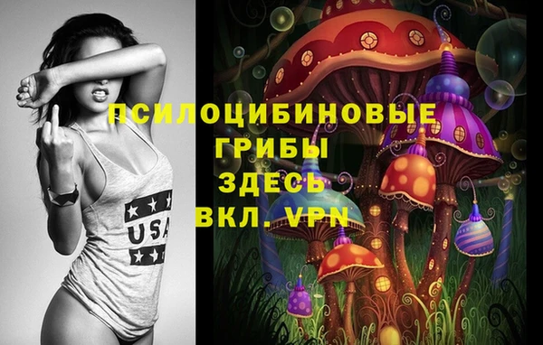 дмт Дмитриев