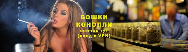 твердый Дмитров