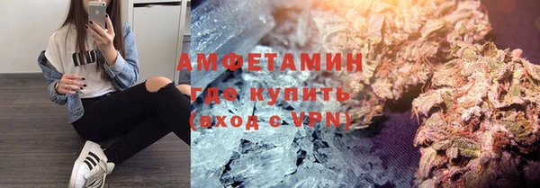 твердый Дмитров