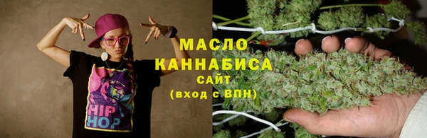 твердый Дмитров