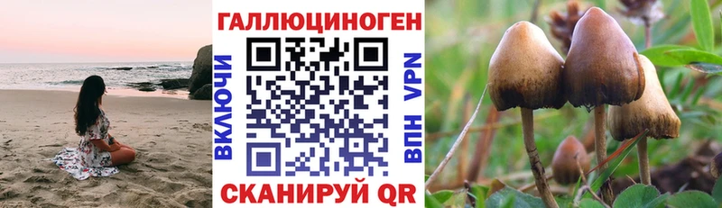 Купить где  Мариинский Посад  Псилоцибиновые грибы мицелий 